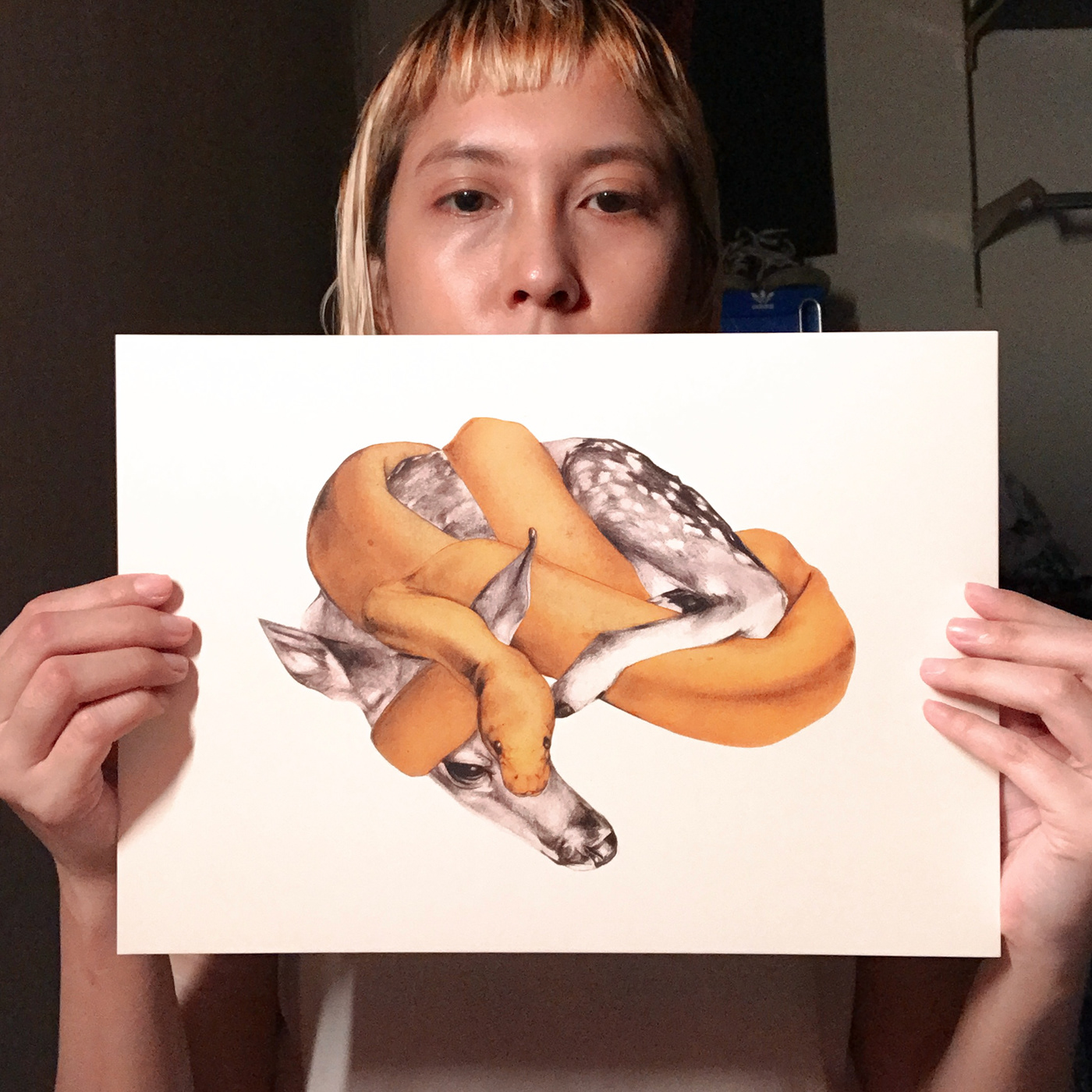 art artwork deer ILLUSTRATION  illustrations metaphor painting   snake surrealism surrealist