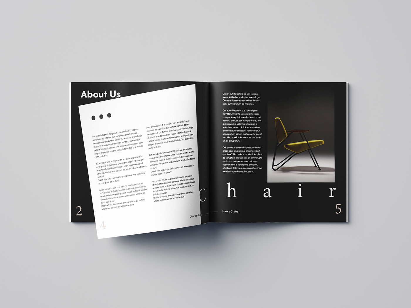 catalog Catalogue chair design editorial design  furniture InDesign black and white editorial typography  