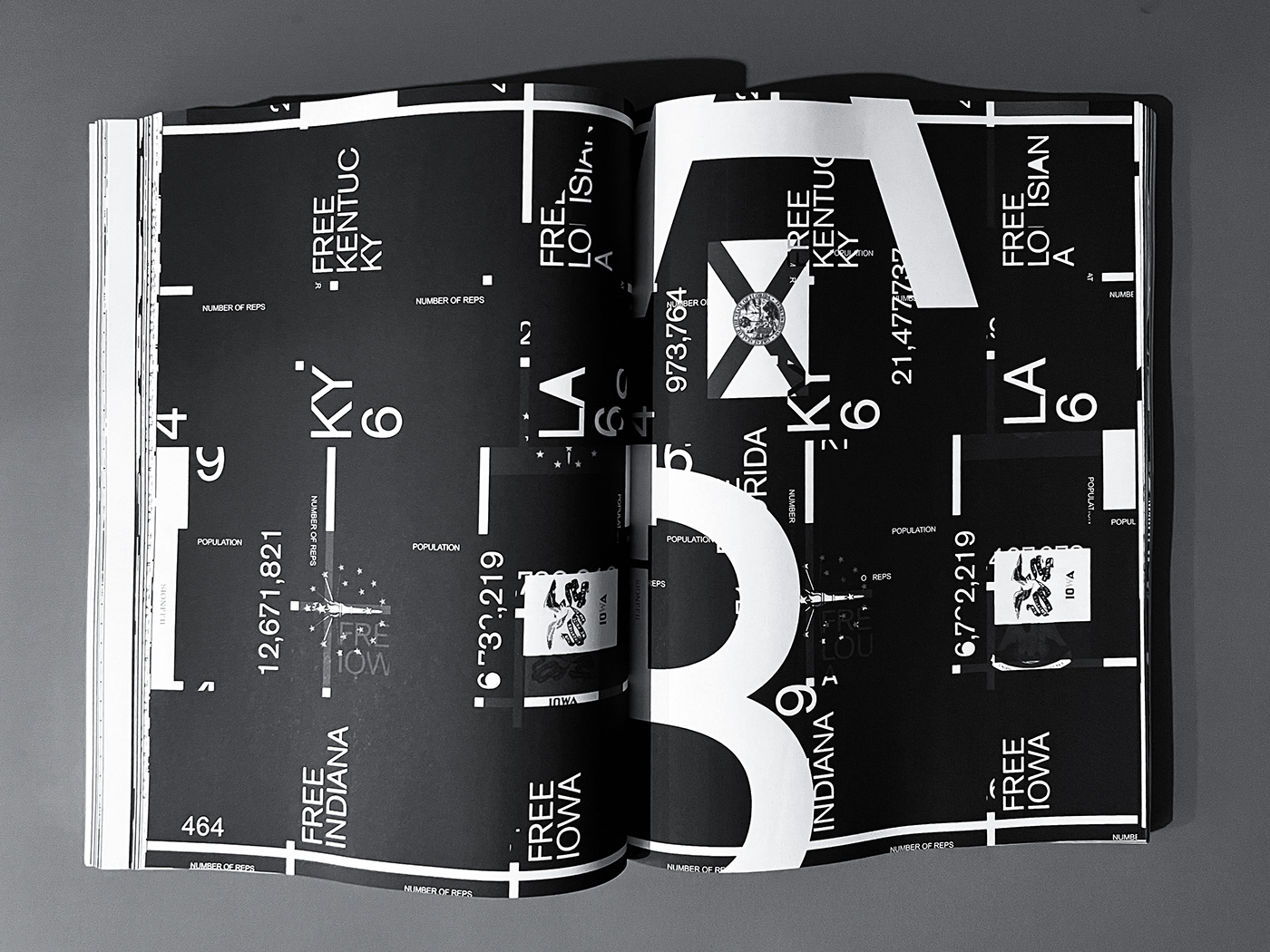 book design graphic design  Magazine design print design  publishing   typography  