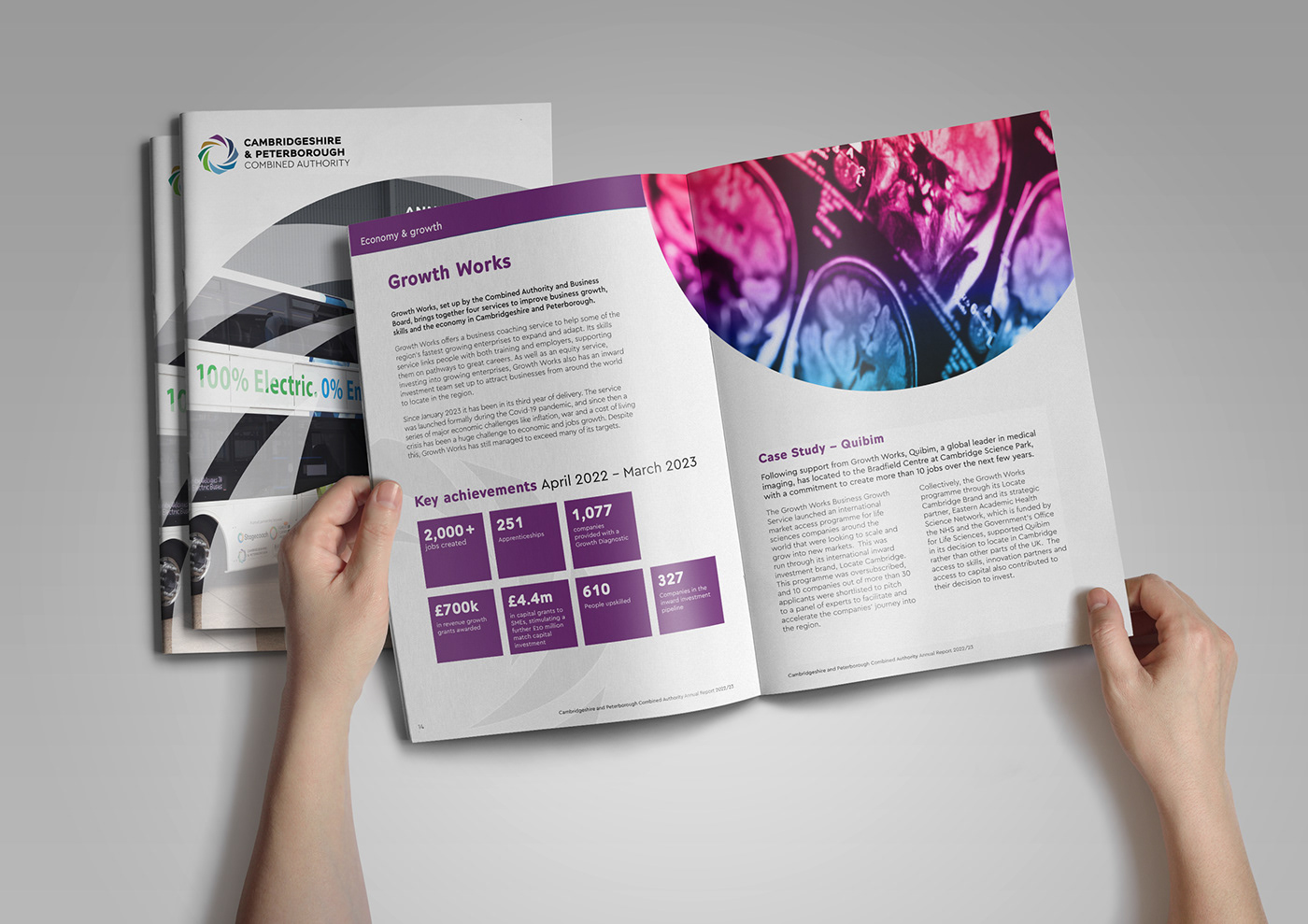 annual report print InDesign Layout brochure graphic design 