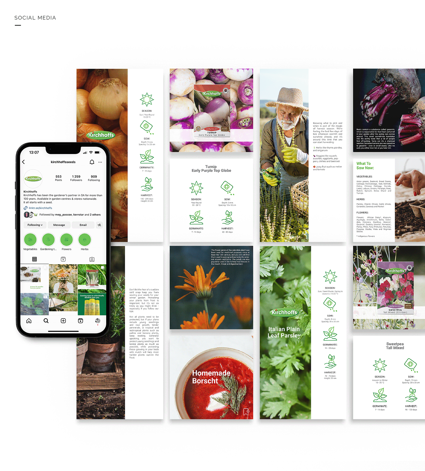 Social media post Social Media Design graphic design  print design  Event Branding design print advertising seeds vegetables Flowers