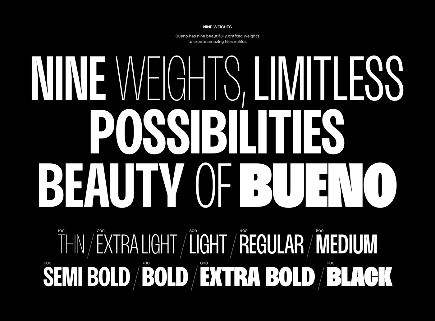 font Typeface Display modern visual identity Logotype Brand Design