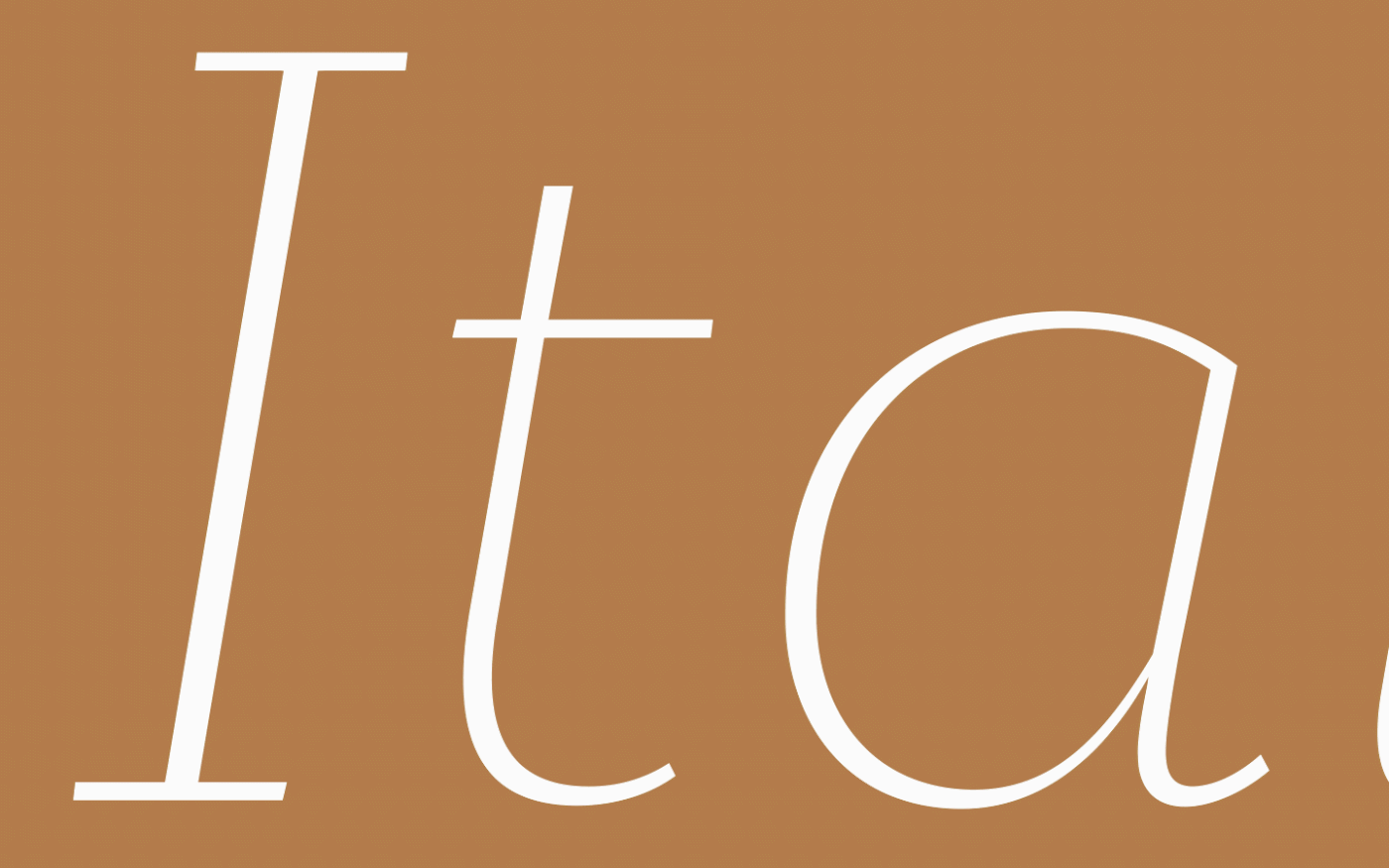 font type typography   editorial gliphs Layout serif slabserif reddot Typefamily