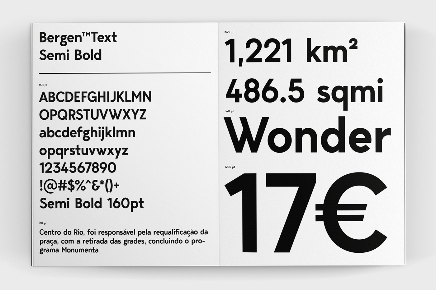 Bergen Bergen sans Bergen Text typography   art direction 