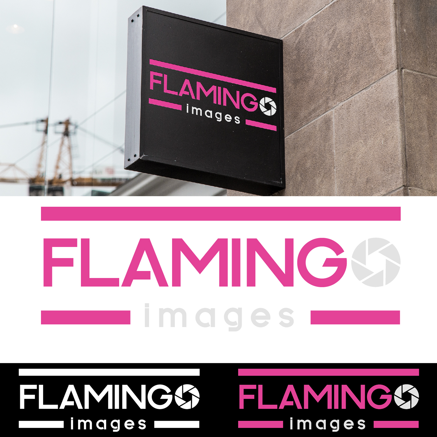Logo Design flamingo photography logo graphic design  images logo wasi  