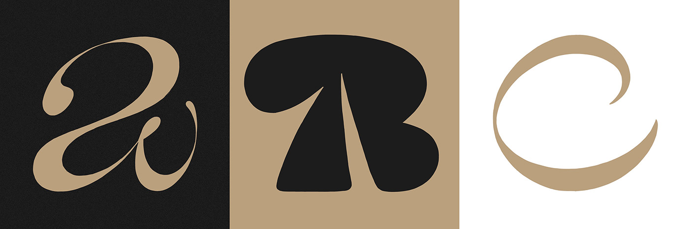 typography   Logotype logo Logo Design brand identity branding  visual identity art Digital Art  vector
