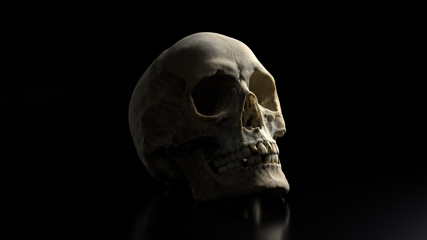 anatomy AnatomyStudy dark pirate skull stager substance Substance Painter