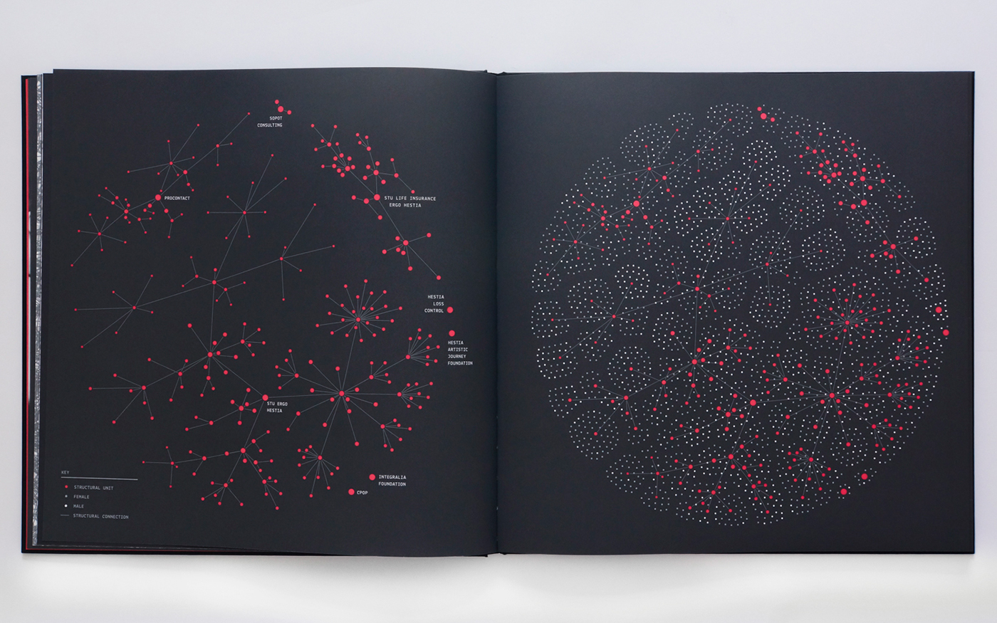 dataviz infographic Data data design information design annual report Minimalism network data visualization adobeawards