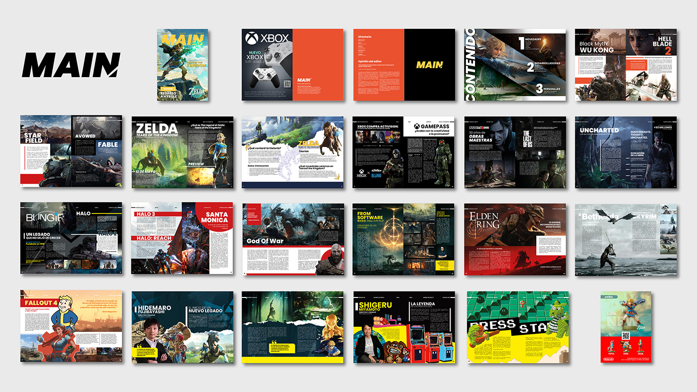 magazine Magazine design videogame THE LEGEND OF ZELDA