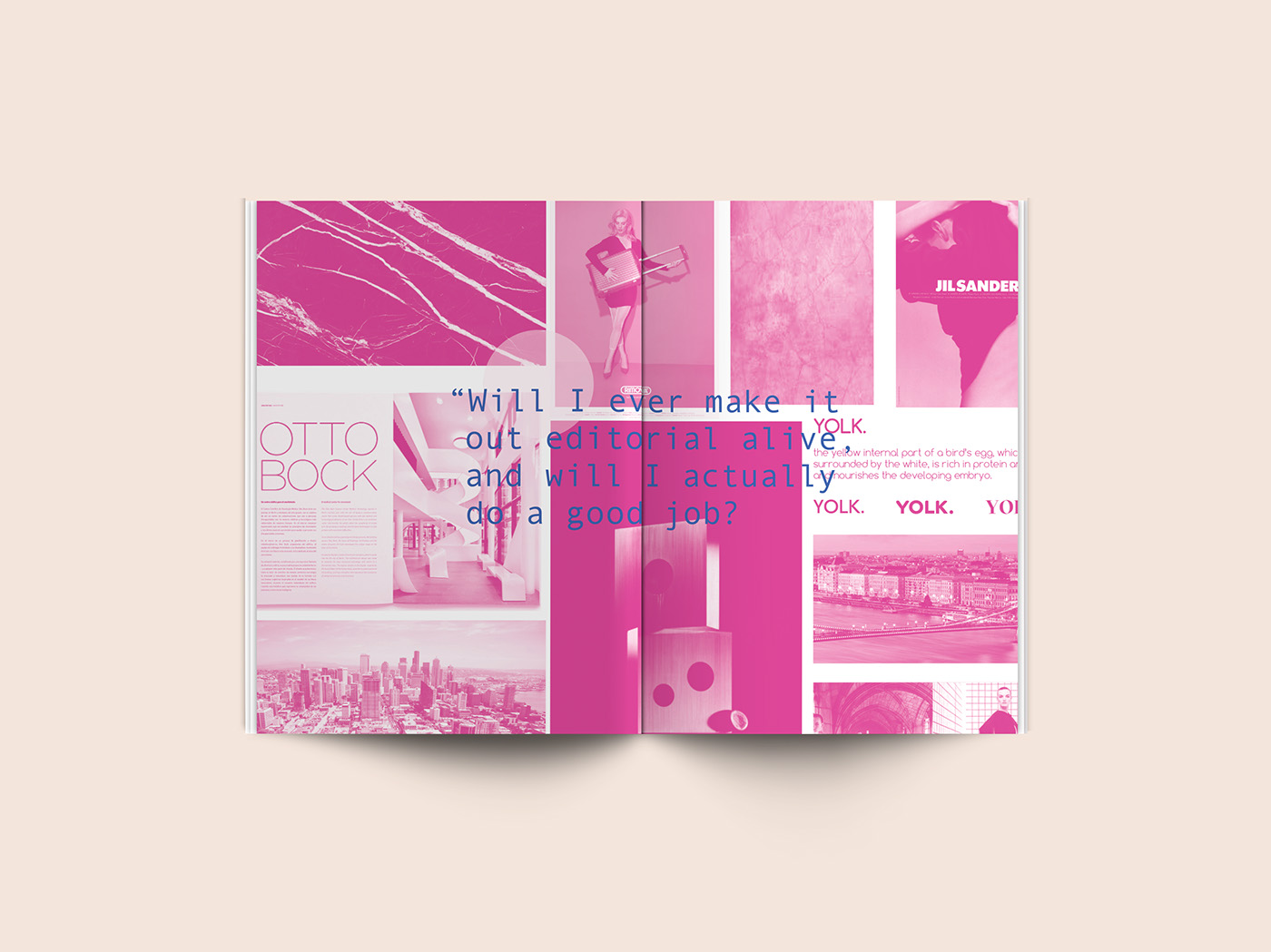 print design  graphic design  typography   publication Layout