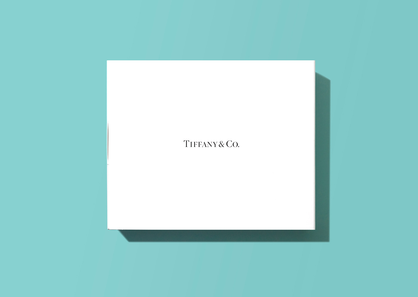 branding  gift HEAZ INFLUENCERKIT jewelry packagedesign Packaging press kit recycle tiffany