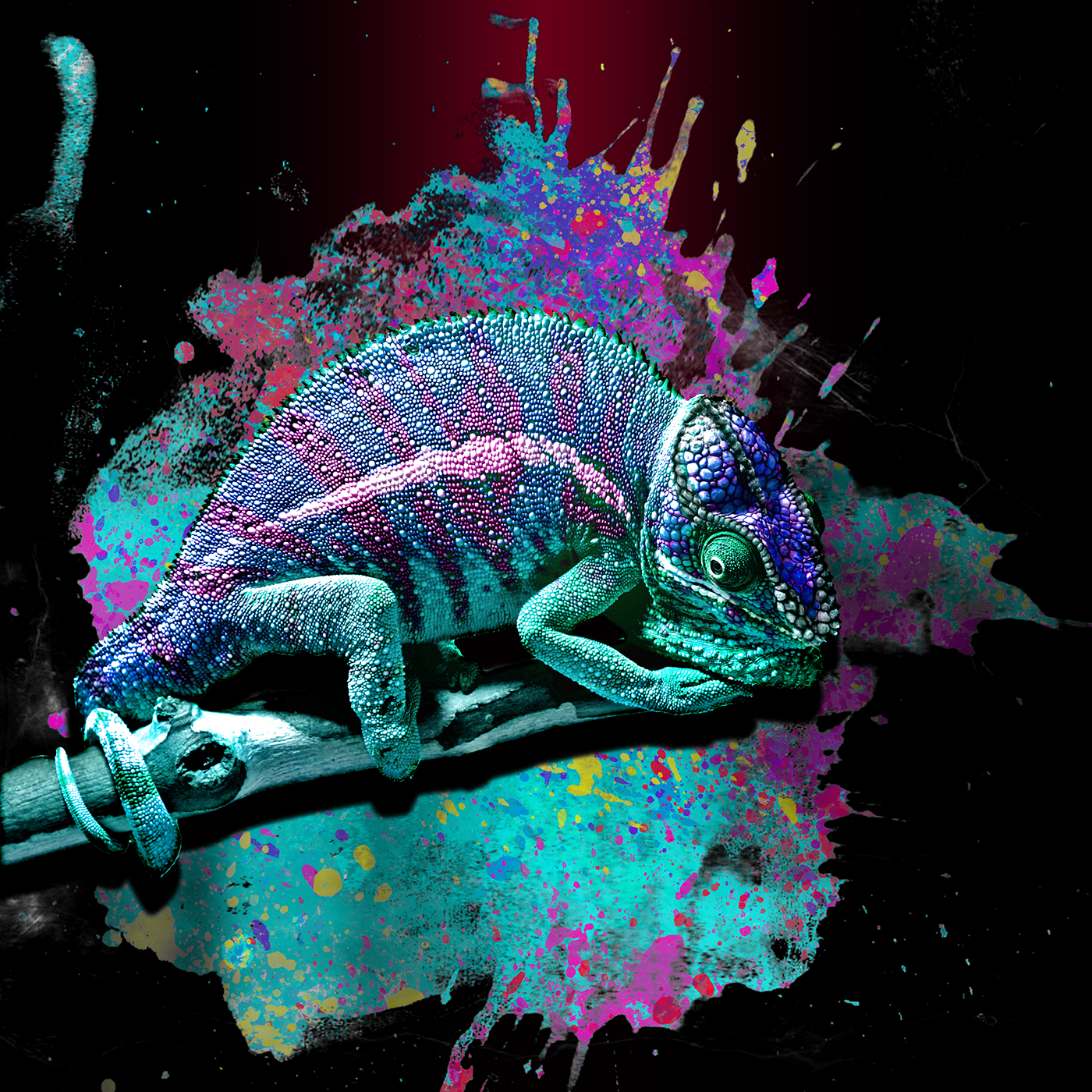 chameleon lizard gecko colorful camouflage reptile splash manipulation