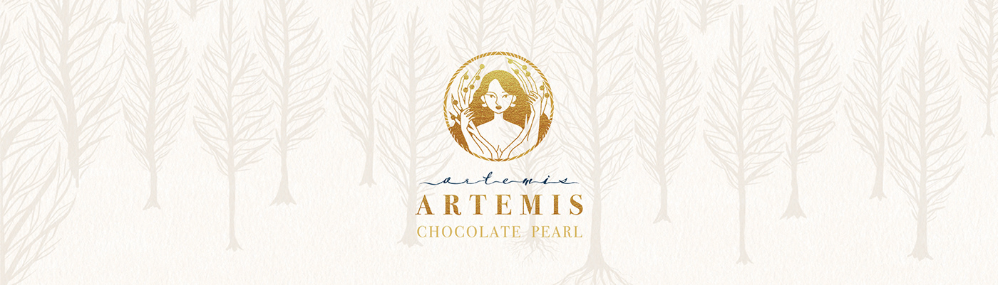 artemis chocolate packaging design branding  Identity Design illustration design ILLUSTRATION  Packaging brand identity chocolate beans