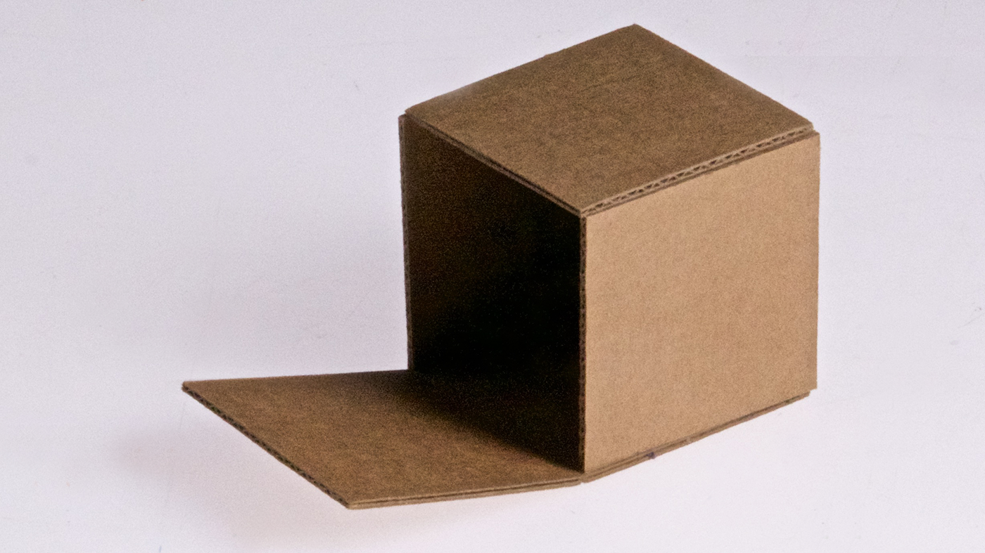 biophilic cardboard tiny house