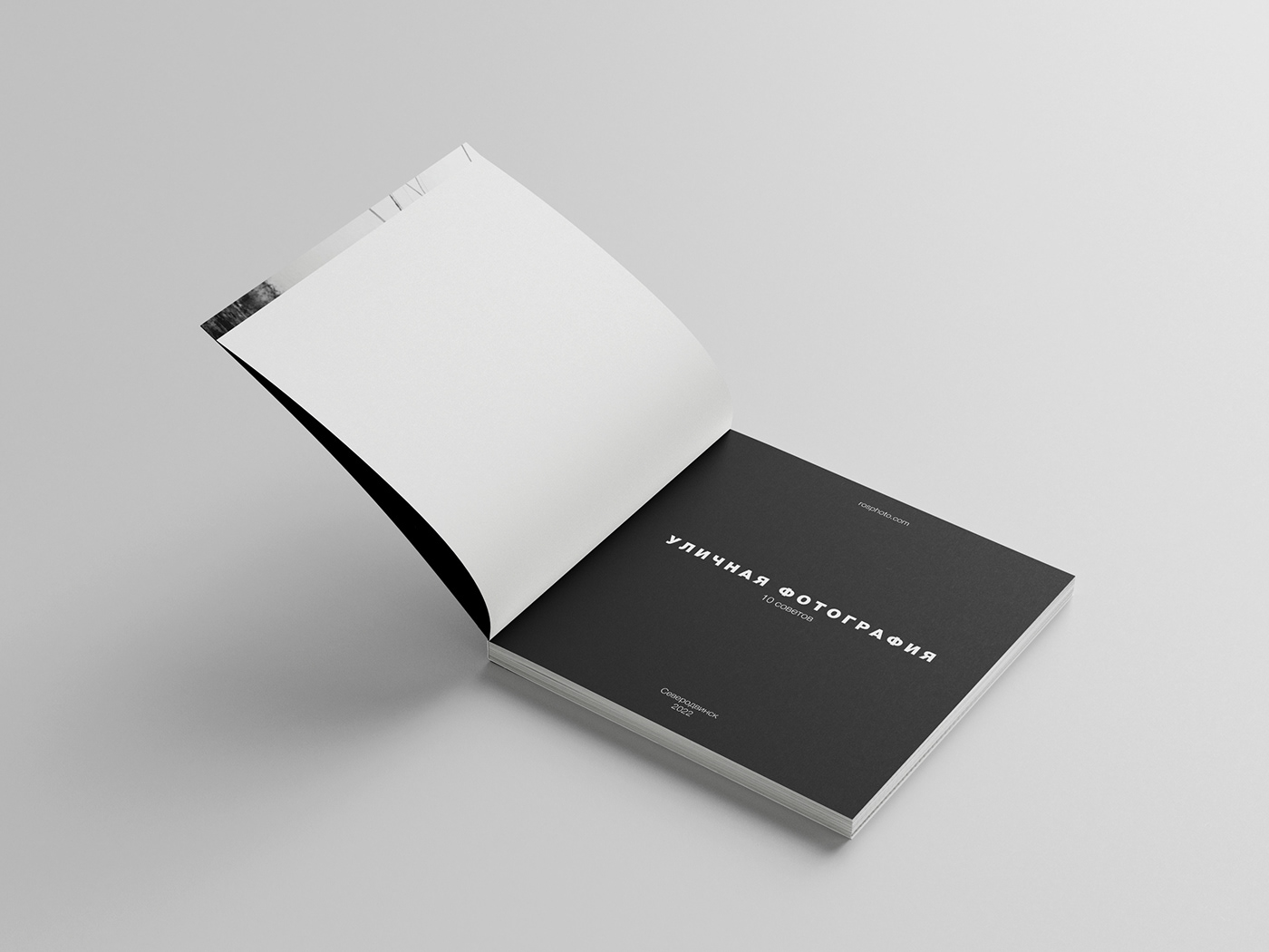 book book design design Layout photobook верстка верстка книги графический дизайн Дизайн книги фотокнига