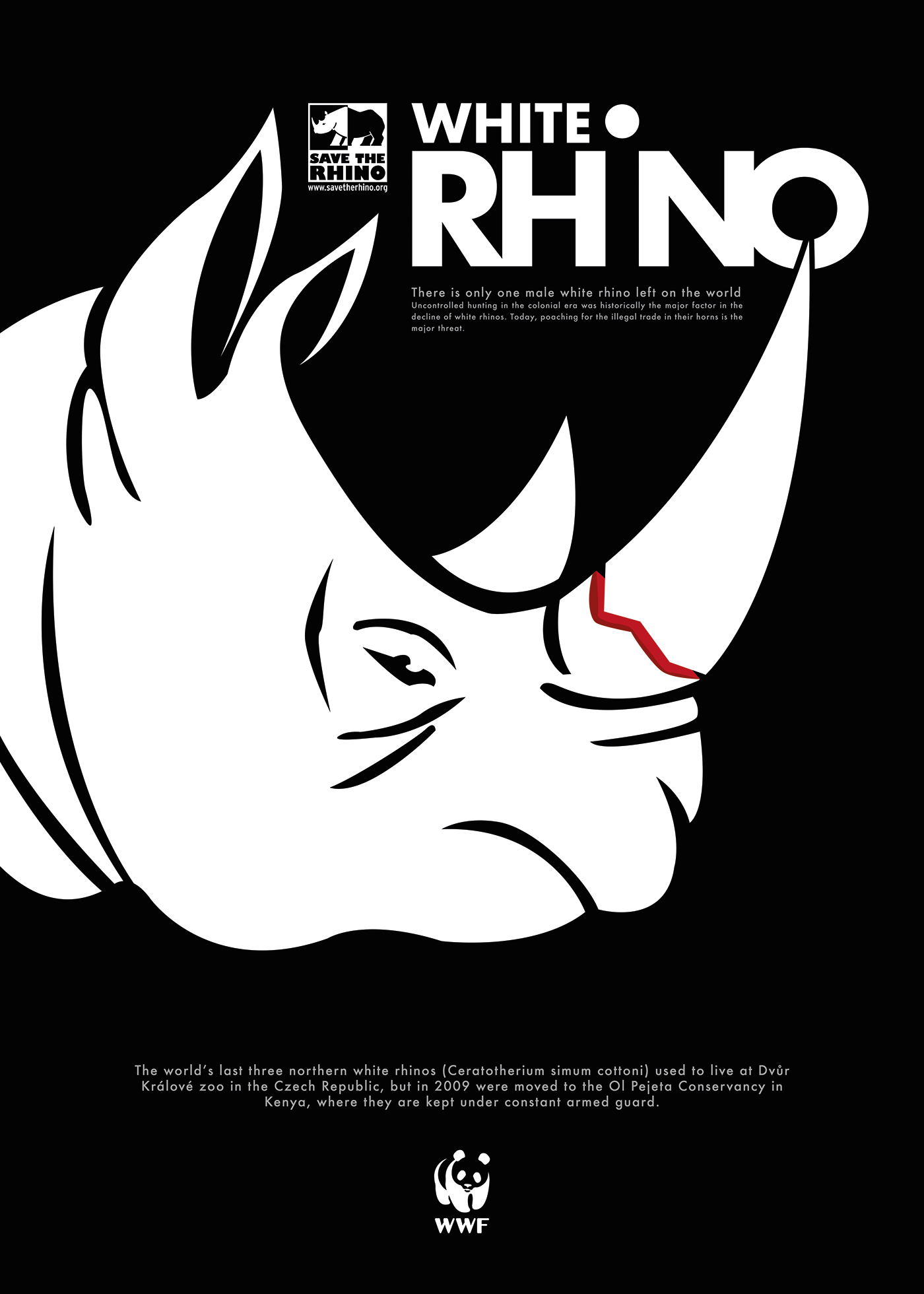 Rhino white rhino animal manipulate