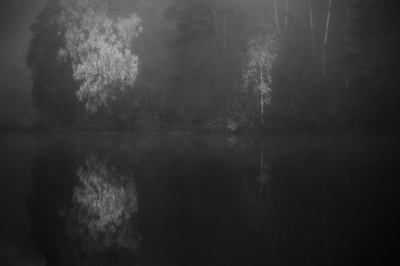 black and white fog fog landscapes lietuva lithuania Mindaugas Buivydas mist