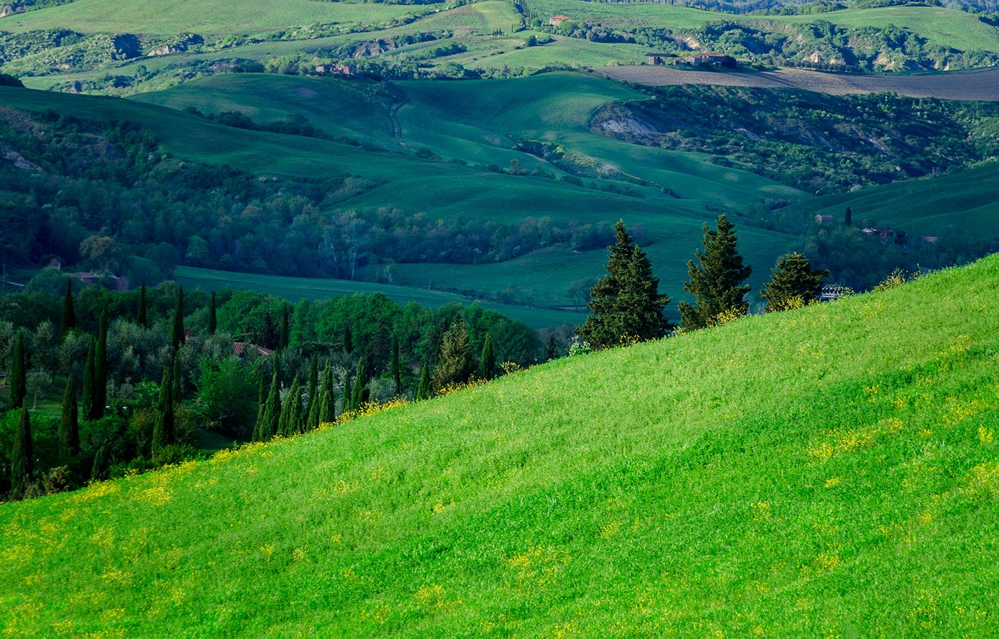 Landscape siena Tuscany green beauty
