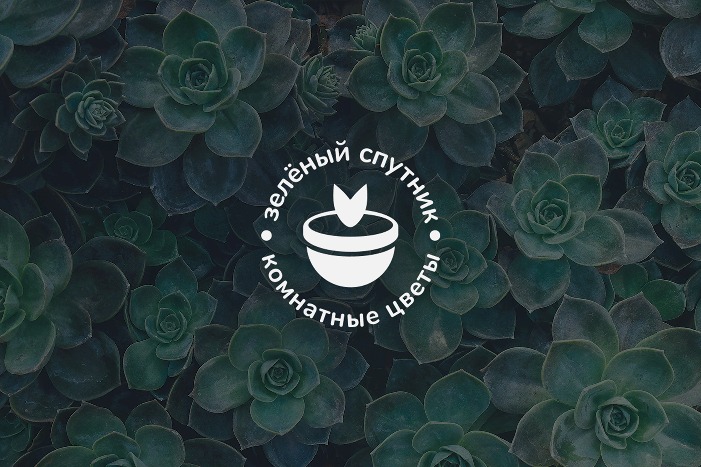 baikal cook design flower logo logofolio Logotype Plant Russia