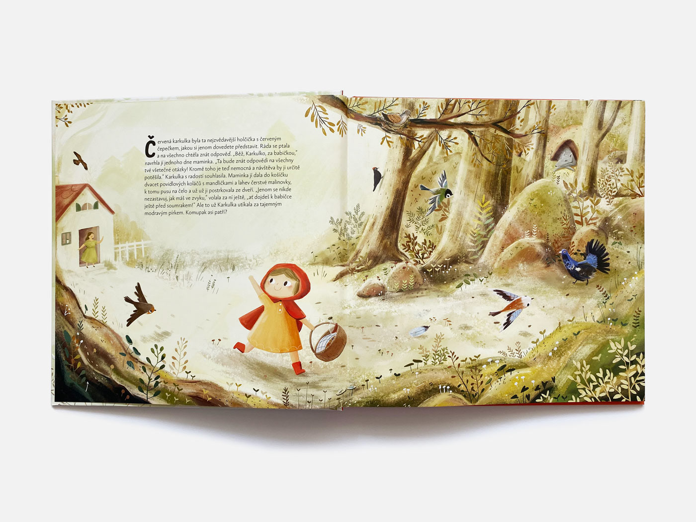 children illustration children's book digital painting Encyclopedia fairytale fantasy Nature Red riding hood sleeping beauty