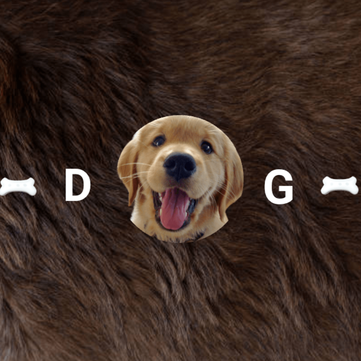 Image may contain: dog, brown and animal