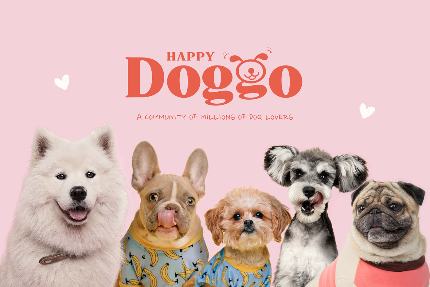 animals branding  Character community cute dog dogs pets puppy Website