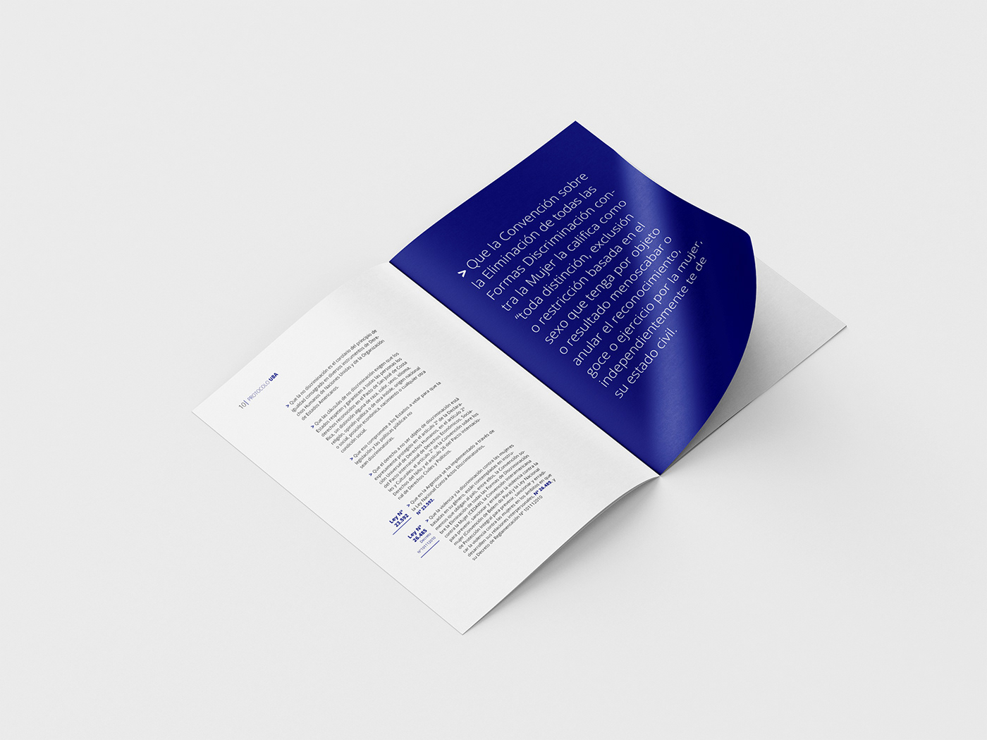 diseño diseño gráfico Diseño web editorial fadu ilustracion impresion Protocolo tipografia