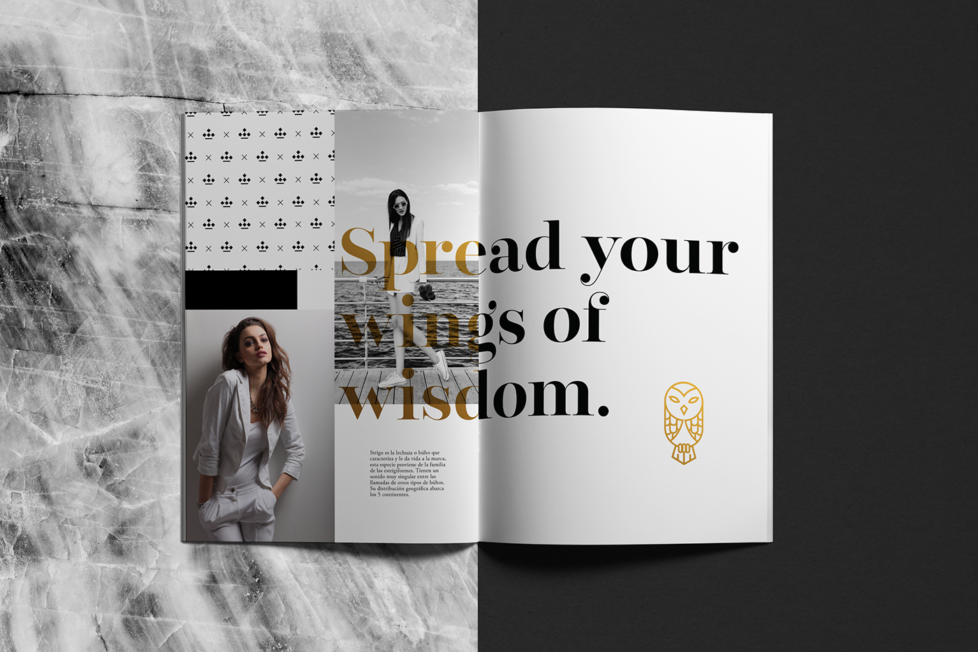strigo editorial brand symbol hoot owl apparel Clothing Interior store mexico Mockup Render 3D trendy