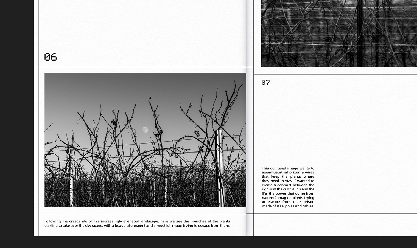 a4 art direction  black and white editorial design  graphic design  grid Layout photo series photobook Photography 