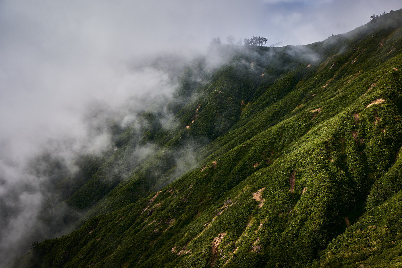 fog japan Landscape landscape photography monochrome mountain mountains Nature nature photography Photography 