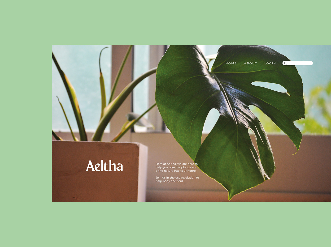 aeltha Brand Design brand identity branding  design House Plants Identity Design Layout Design plants Website Design