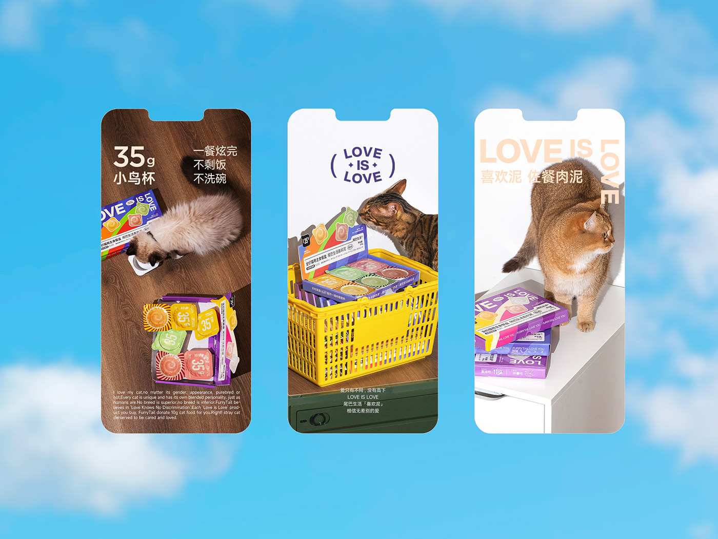 animal branding  Cat Packaging packaging design Pet product design  rainbow