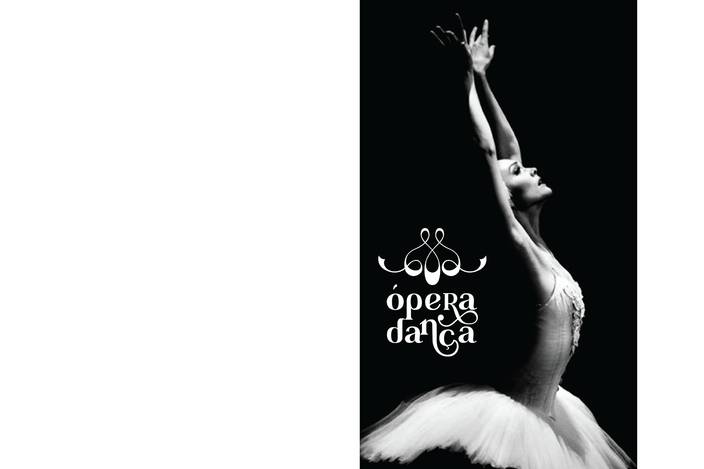 naming visual identity logo ILLUSTRATION  lettering Project ballet school DANCE   brand