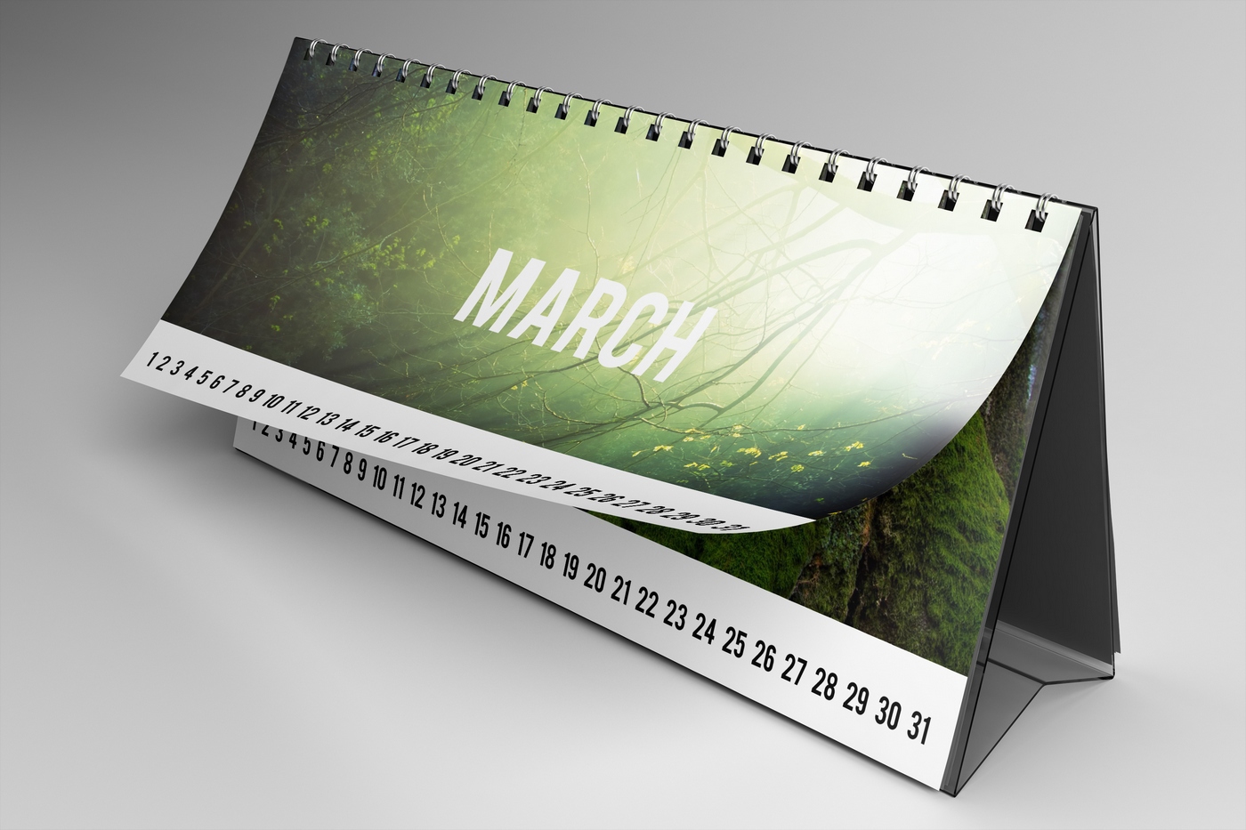 calendar date desk desktop Mockup mock-up mock-ups paper Spiral time