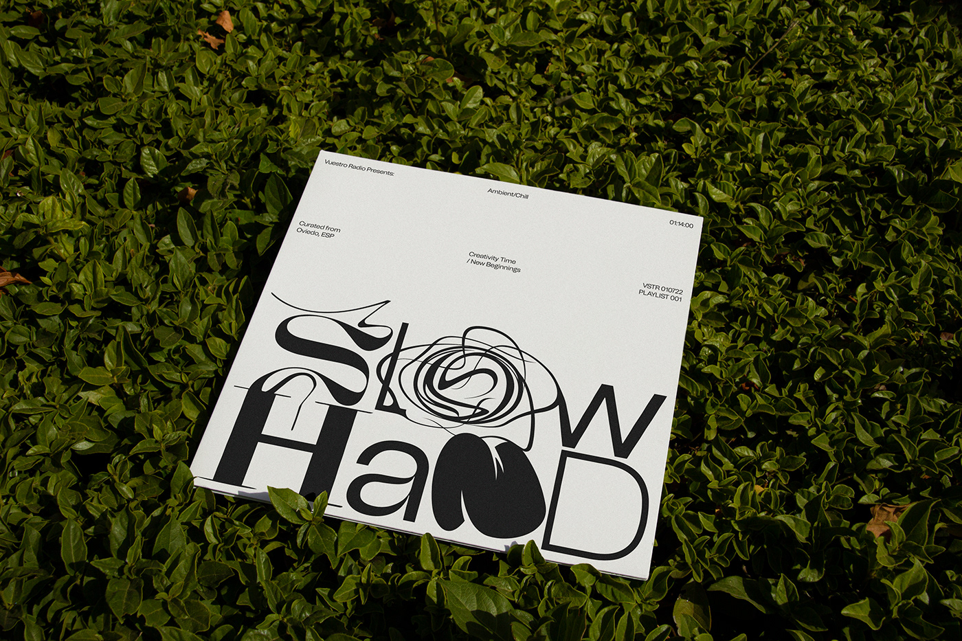 branding  cover design graphicdesign music Poster Design typography   vinyl