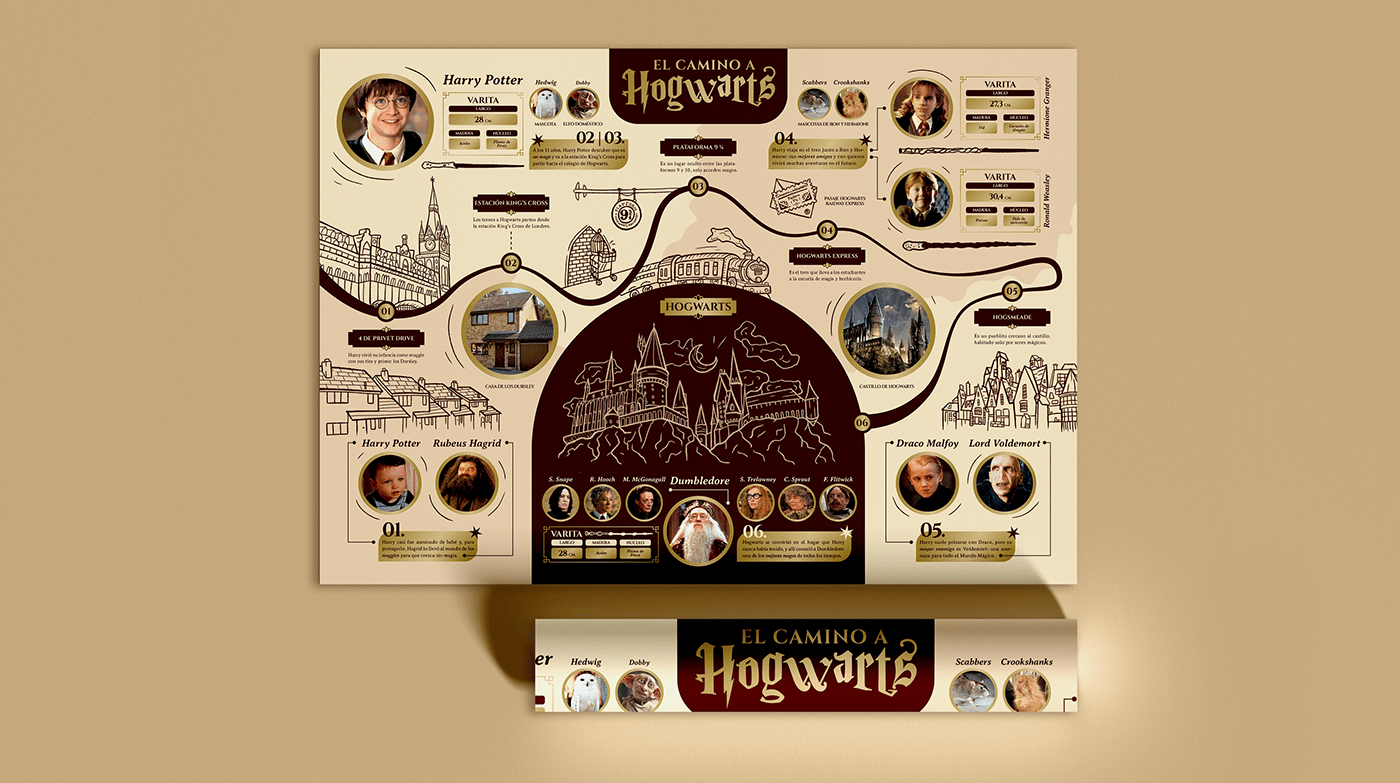 ilustración digital infografia inphographic harry potter Hogwarts graphic design  diseño gráfico ILLUSTRATION  Drawing  interactive