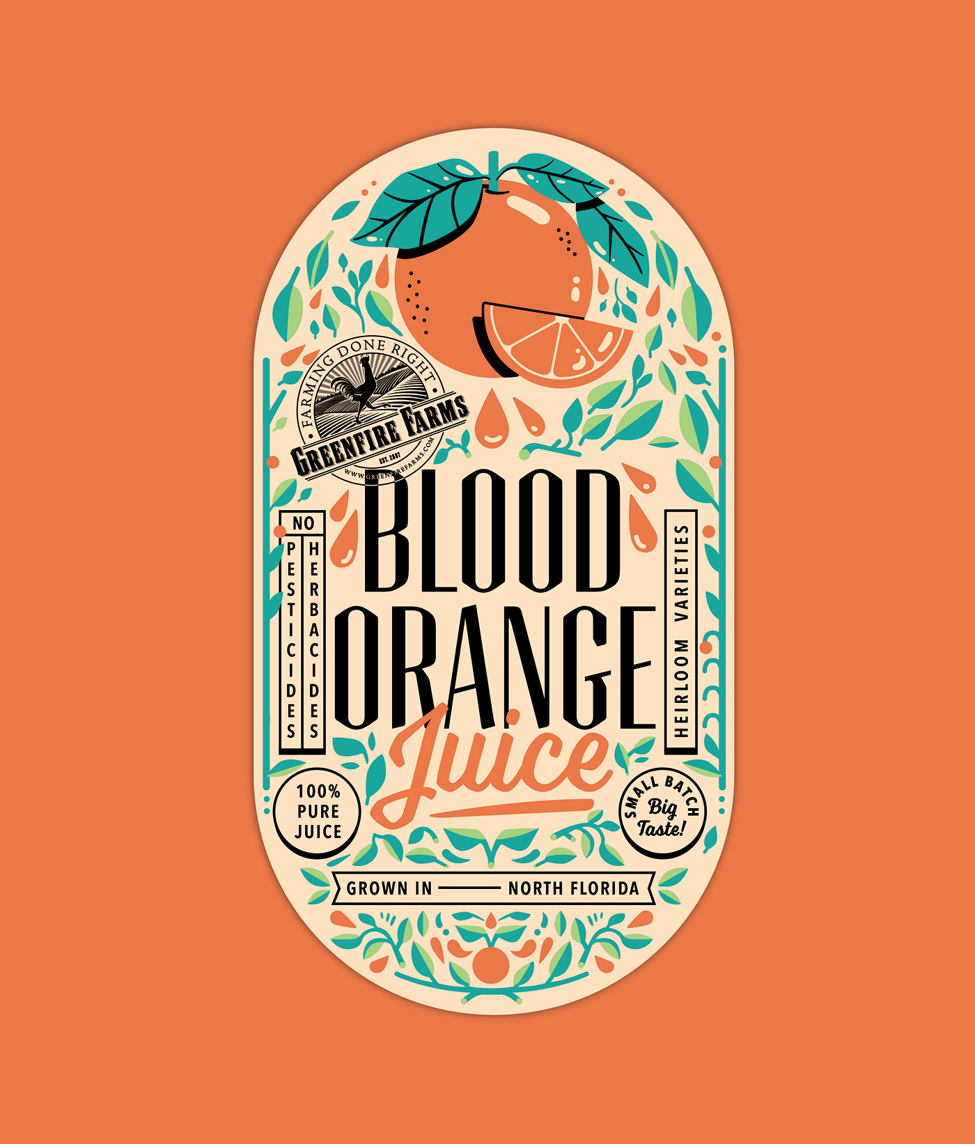 Florida artist  Florida Oranges freelance illustrator ILLUSTRATION  juice label label design Orange Juice oranges package design  unique labels