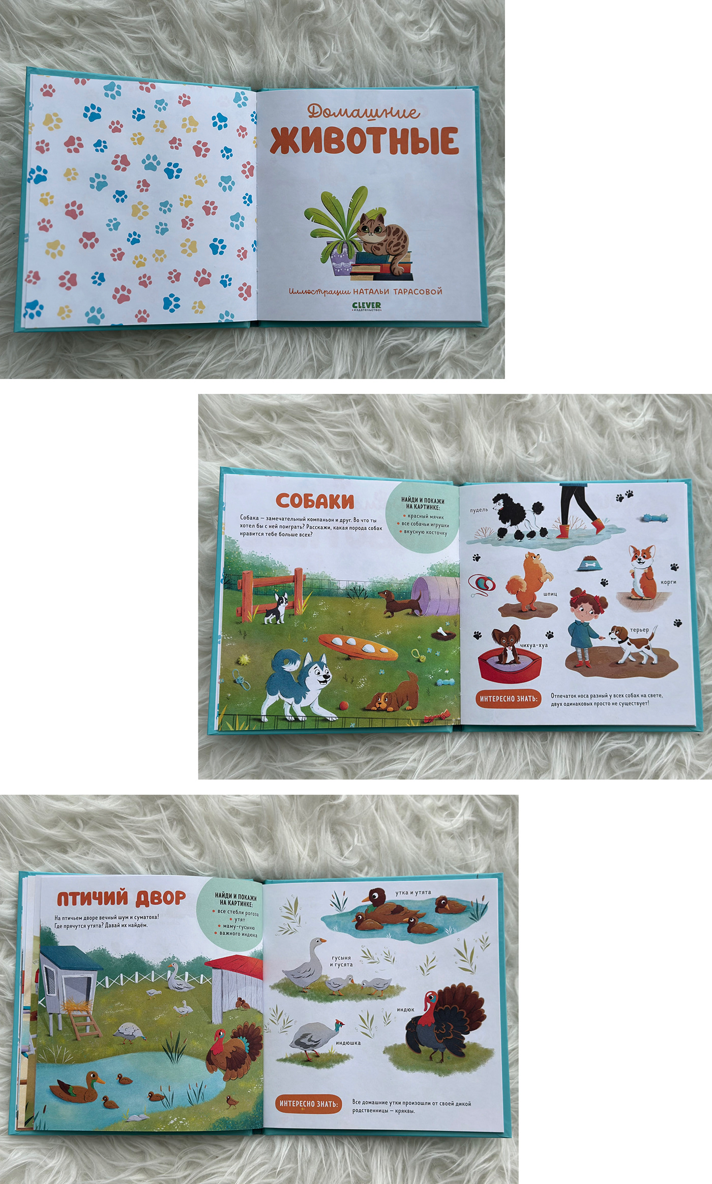 Character design  children's book children book kidlitart Picture book children illustration kids illustration kidlit children's illustration Digital Art 