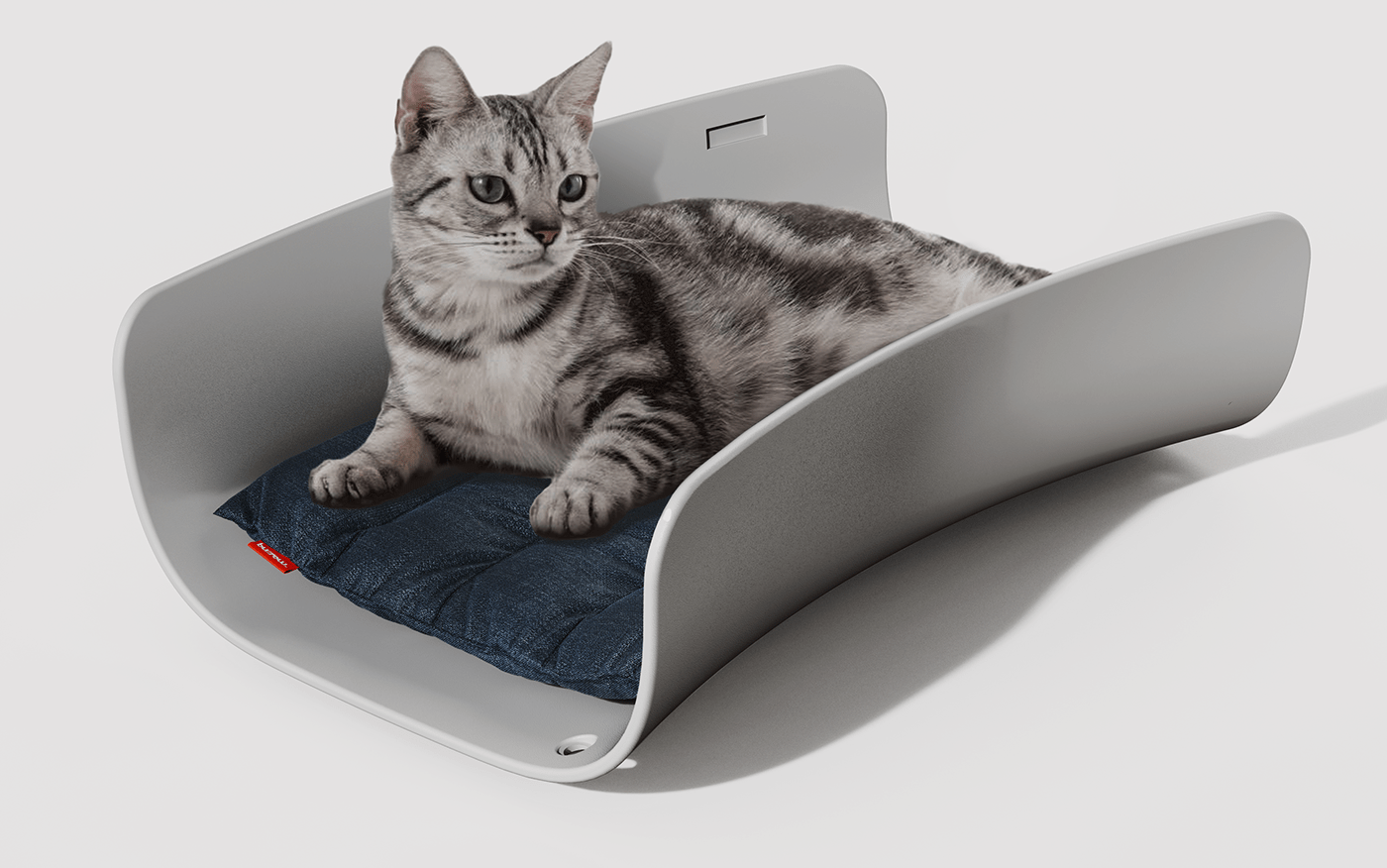 concept design for pets industrial design  industrialdesign pet carrier product productdesign