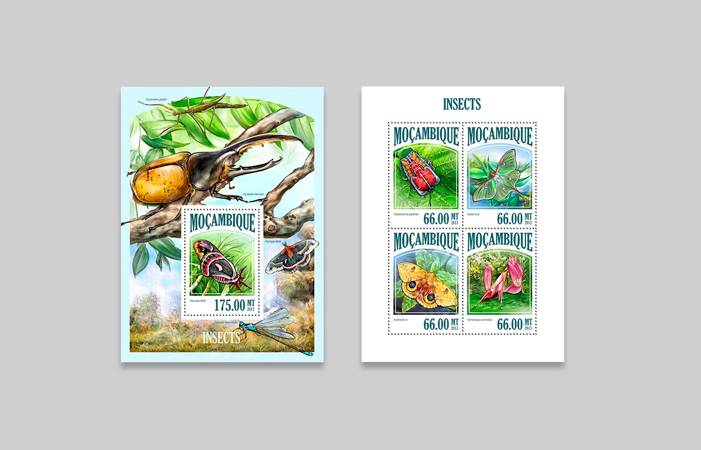 digital illustration painting   Philately post Post Stamp Postage postal biology Nature scientific illustration