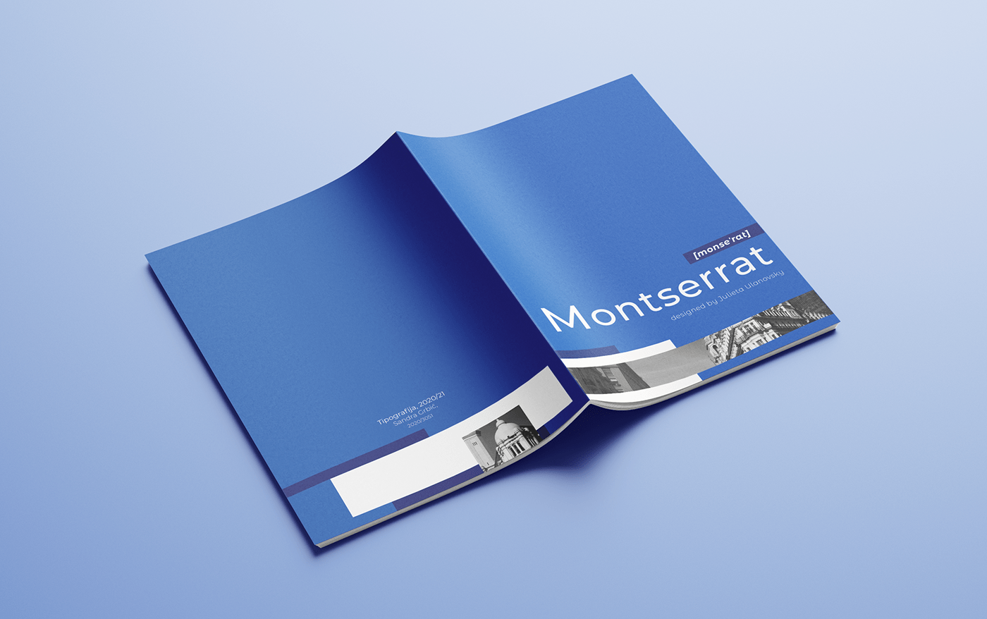 blue brochure Catalouge editorial fontface letter letters montserrat specimen typography  