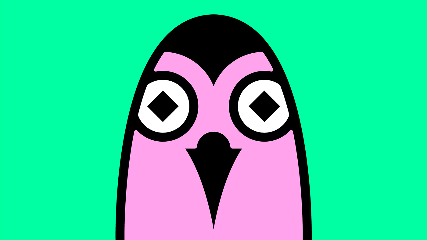 bird branding  identity ILLUSTRATION  logo Mascot pictograms pigeon typography  