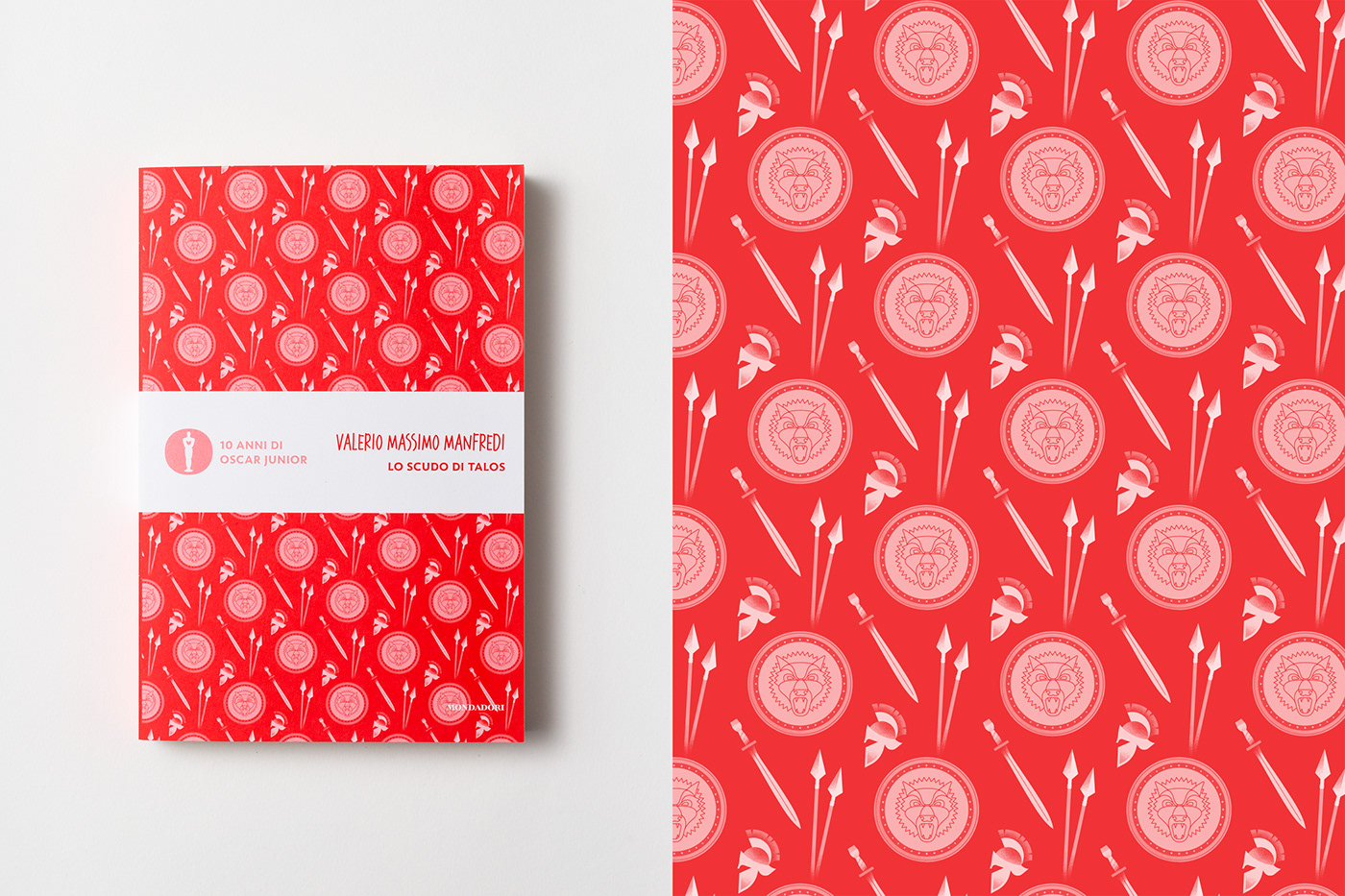 book book cover cover illustration ILLUSTRATION  pattern cover Patterns