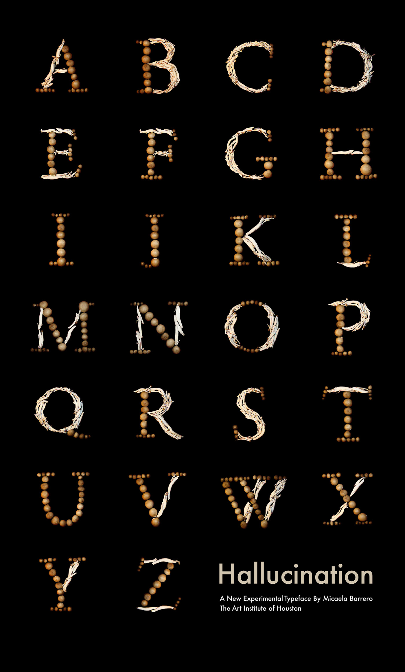 experimental typeface Typeface graphic design  design the art institute of Houston The Art Institute