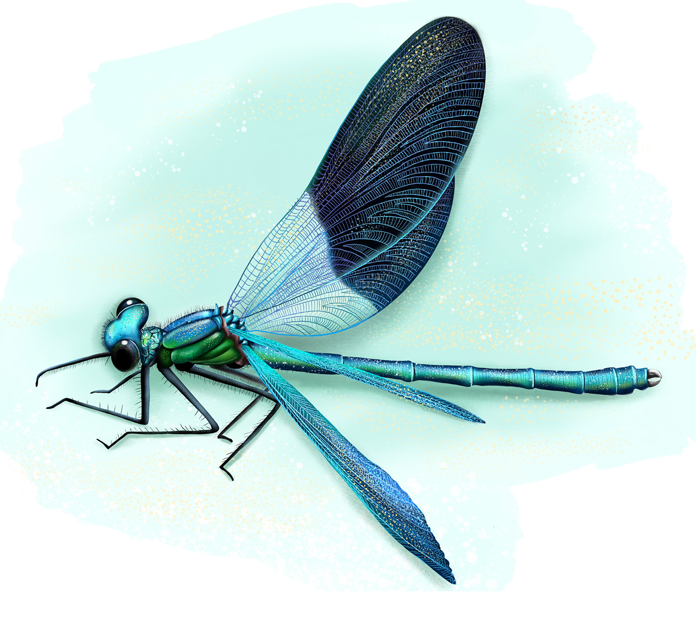 bee Character design  childrenbook ChildrenIllustration Digital Art  ILLUSTRATION  insect Nature Procreate dragonfly