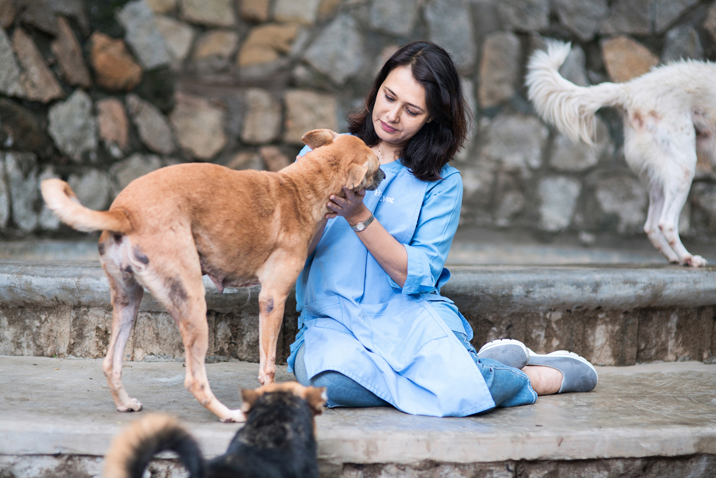 Hyderabad bluecross animalrescue charity magazine photoshoot