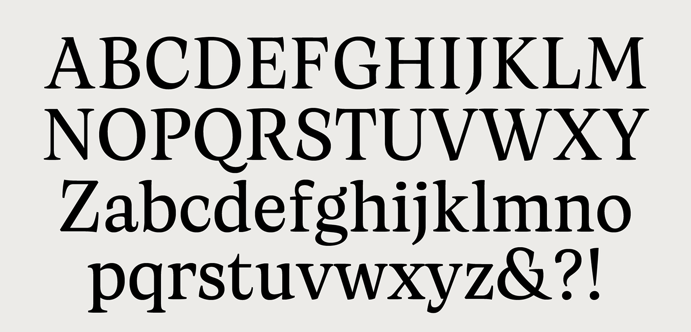 branding  font serif Serif Font type type design Typeface typographic typography   typography design