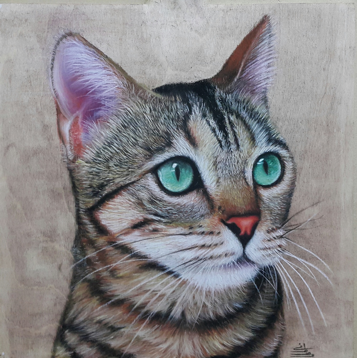 draw Drawing  pastel pencil painting   Cat art