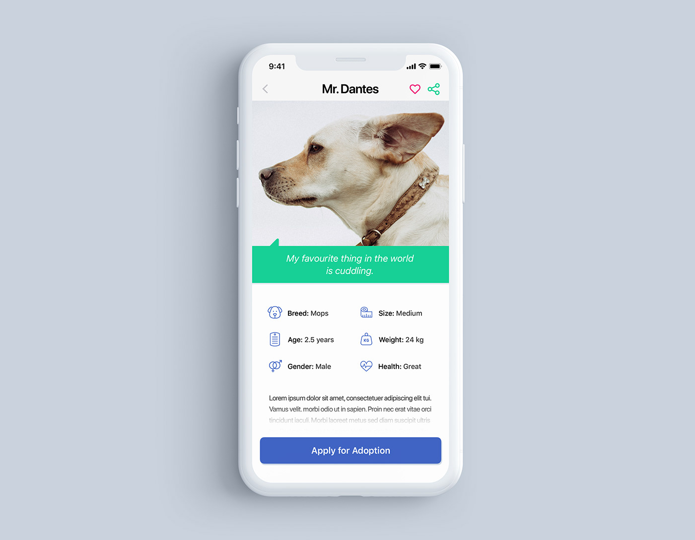 dog adoption app Dog info apply for adoption dog shelter app