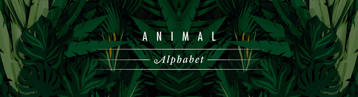 typography   craft paper experimental lettering animals exotic Tropical vegetation plants